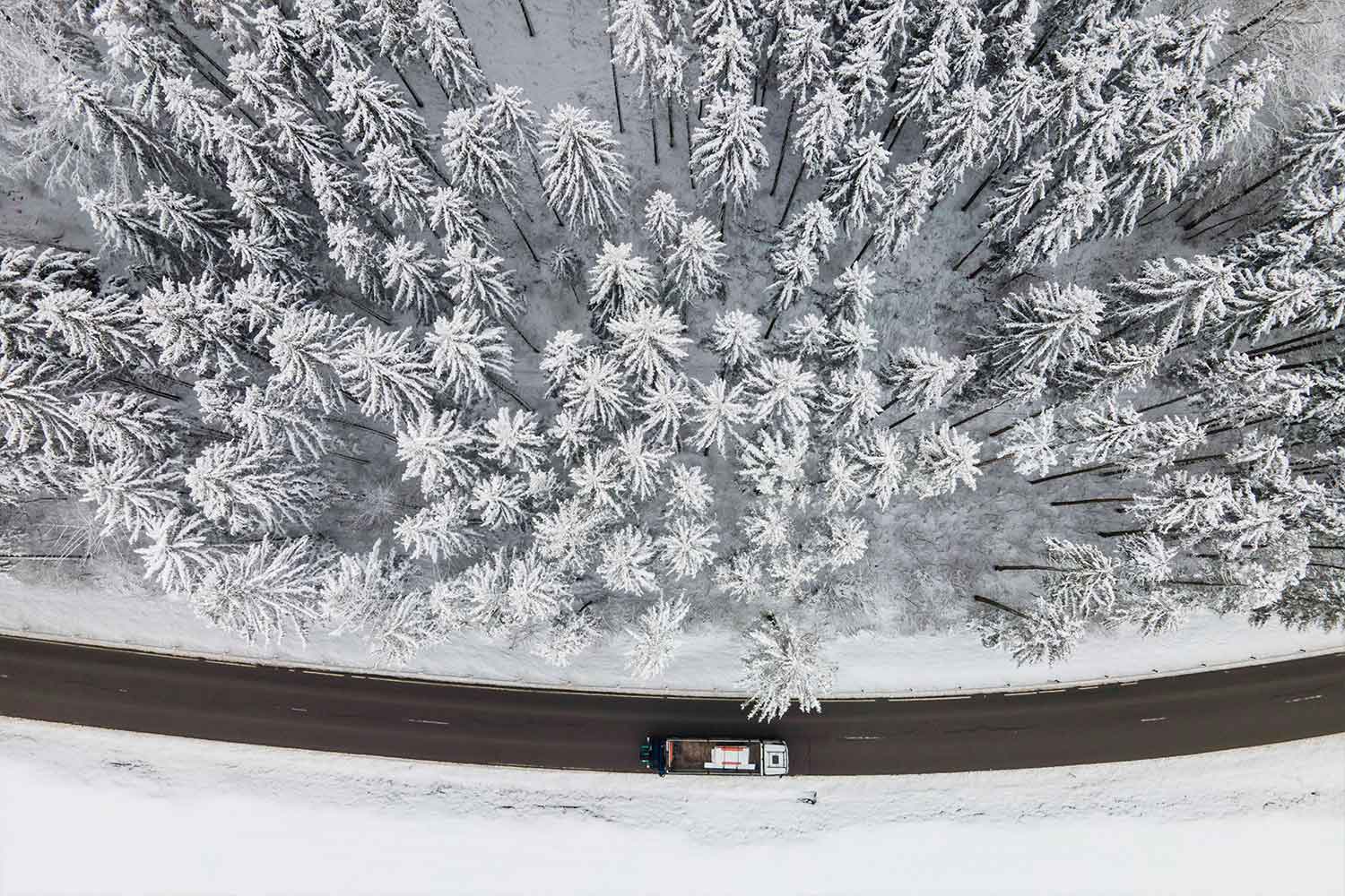 Tom Weller Fotojournalist Dronenfotografie Schnee Wald
